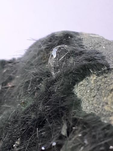 Apatite, Actinolite (variety byssolite), Epidote<br />Knappenwand, Knappenwand area, Untersulzbach Valley, Hohe Tauern, Salzburg, Austria<br />6,5 x 3 cm<br /> (Author: Volkmar Stingl)