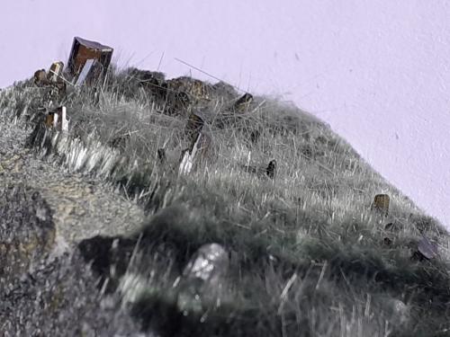 Apatite, Actinolite (variety byssolite), Epidote<br />Knappenwand, Knappenwand area, Untersulzbach Valley, Hohe Tauern, Salzburg, Austria<br />6,5 x 3 cm<br /> (Author: Volkmar Stingl)