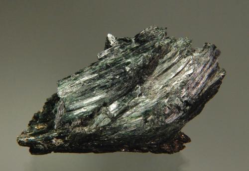 Actinolite<br />Carlton Quarry, Chester, Windsor County, Vermont, USA<br />8.0 x 4.5 cm<br /> (Author: Michael Shaw)