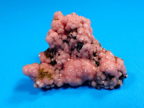 Rhodochrosite, Ilvaite<br />Potosí Mine, Santo Domingo (Francisco Portillo), Santa Eulalia District, Municipio Aquiles Serdán, Chihuahua, Mexico<br />56 mm x 35 mm x 30 mm<br /> (Author: Don Lum)