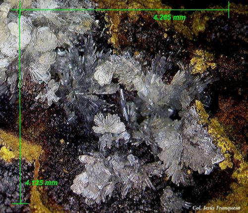 Hemimorfita.<br />Mina da Preguiça, Sobral da Adiça, Moura, Distrito Beja, Baixo Alentejo, Alentejo, Portugal<br />4´26 x 4´12 mm.<br /> (Autor: Jesus Franquesa Baucells)