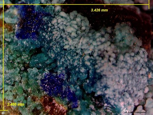 Azurita y Crisocola.<br />Mina La Reforma, El Pinar de Bédar, El Pinar, Bédar, Comarca Levante Almeriense, Almería, Andalucía, España<br />3´42 x 2´45 mm.<br /> (Autor: Jesus Franquesa Baucells)