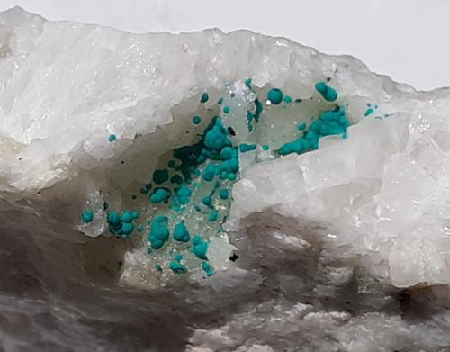 Cornwallite<br />Clara Mine, Rankach Valley, Oberwolfach, Wolfach, Black Forest, Baden-Württemberg, Germany<br />FoV appr. 2 x 1,5 cm<br /> (Author: Volkmar Stingl)