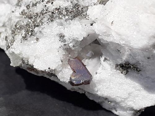 Sphalerite, Pyrite<br />Lengenbach Quarry, Fäld, Binn Valley (Binntal), Wallis (Valais), Switzerland<br />4,5 x 2 cm<br /> (Author: Volkmar Stingl)