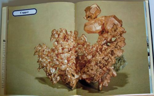 _Picture from the book Rock and Minerals (Author: rweaver)