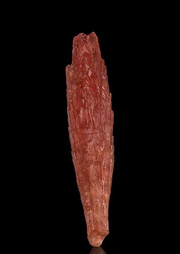 Rhodochrosite<br />Santa Eulalia District, Municipio Aquiles Serdán, Chihuahua, Mexico<br />6.9 x 1.5 cm<br /> (Author: am mizunaka)