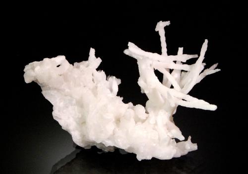 Aragonite (variety flos ferri)<br />Elafos Mines, Elafos, Lavrion Mining District, Lavreotiki, Attikí (Attica) Prefecture, Greece<br />10.3 x 8.0 x 4.0 cm<br /> (Author: Michael Shaw)