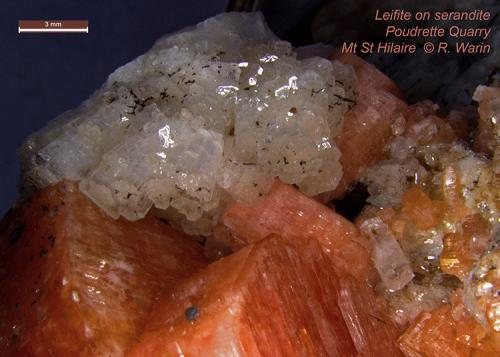 Leifite on Serandite<br />Poudrette Quarry, Mont Saint-Hilaire, La Vallée-du-Richelieu RCM, Montérégie, Québec, Canada<br /><br /> (Author: Roger Warin)