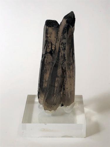 Quartz (variety smoky)<br />Strzegom, Strzegom-Sobótka Massif, Świdnica District, Lower Silesia, Poland<br />70mm x 30mm  x 20mm<br /> (Author: Philippe Durand)