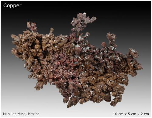 Native Copper<br />Milpillas Mine, Cuitaca, Municipio Santa Cruz, Sonora, Mexico<br />10 cm x 5 cm x 2 cm<br /> (Author: silvia)