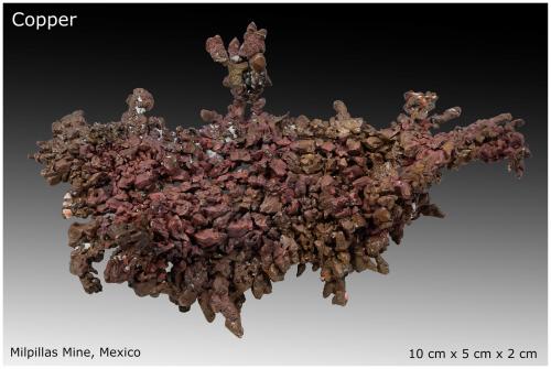 Native Copper<br />Milpillas Mine, Cuitaca, Municipio Santa Cruz, Sonora, Mexico<br />10 cm x 5 cm x 2 cm<br /> (Author: silvia)