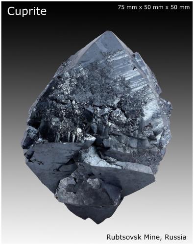 Cuprite and Silver<br />Rubtsovskoe Mine, Rubtsovsky District, Altai Krai, Russia<br />75 mm x 50 mm x 50 mm<br /> (Author: silvia)