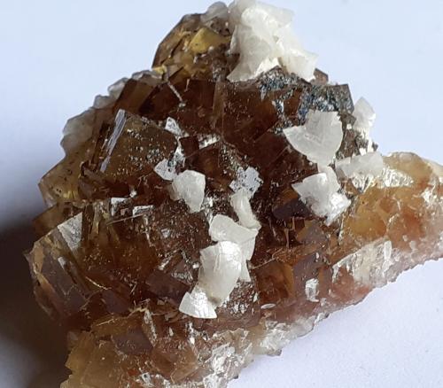 Fluorite, Dolomite<br />Moscona Mine, El Llano, Solís, Corvera de Asturias, Comarca Avilés, Principality of Asturias (Asturias), Spain<br />4 x 3,5 cm<br /> (Author: Volkmar Stingl)