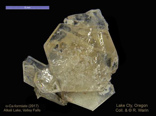alpha  formate Calcium<br />Hallazgo en Lago Alkali, Condado Lake, Oregon, USA<br /><br /> (Author: Roger Warin)