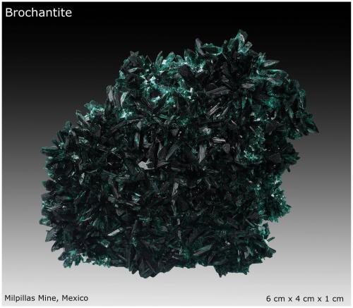 Brochantite<br />Milpillas Mine, Cuitaca, Municipio Santa Cruz, Sonora, Mexico<br />6 cm x 4 cm x 1 cm<br /> (Author: silvia)