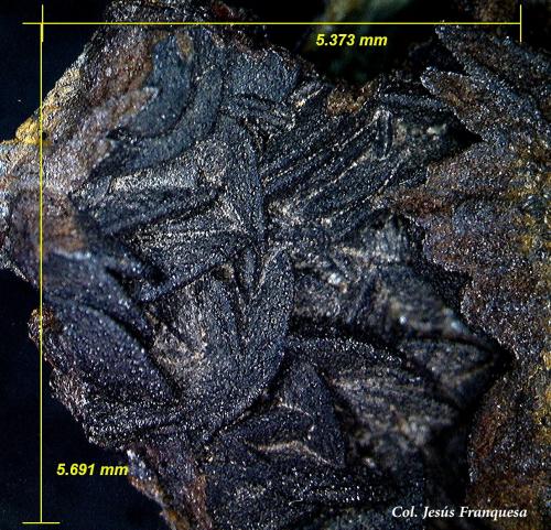 Siderita pseudomórfica de Goethita<br />Mina La Estrella, Barranco del Jaroso, Sierra Almagrera, Cuevas del Almanzora, Comarca Levante Almeriense, Almería, Andalucía, España<br />5´69 x 5´37 mm.<br /> (Autor: Jesus Franquesa Baucells)