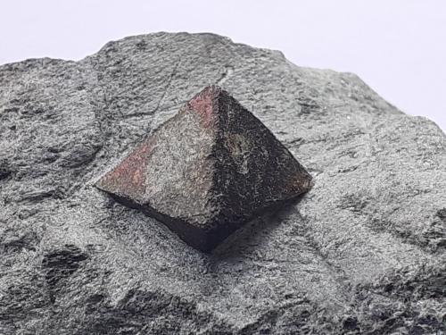 Magnetite<br />Pfitscher Joch, Zamsergrund, Mayrhofen, District Schwaz, North Tyrol, Tyrol/Tirol, Austria<br />6 x 4 cm<br /> (Author: Volkmar Stingl)