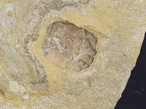 Aragonite<br />Grissianer Graben, Grissiano, Nalles (Nals), Autonomous Province South Tyrol, Trentino-Alto Adige (Trentino-Südtirol), Italy<br />7 x 6,5 cm<br /> (Author: Volkmar Stingl)