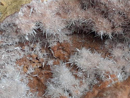 Aragonite<br />Grissianer Graben, Grissiano, Nalles (Nals), Autonomous Province South Tyrol, Trentino-Alto Adige (Trentino-Südtirol), Italy<br />7 x 6 cm<br /> (Author: Volkmar Stingl)