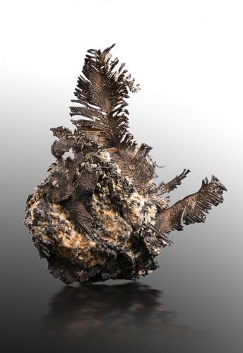 Silver<br />Chañarcillo, Copiapó Province, Atacama Region, Chile<br />13 x 7 x 15 cm<br /> (Author: MIM Museum)