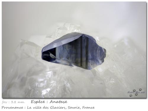 Anatase on Quartz<br />Ville des Glaciers, Savoie, Auvergne-Rhône-Alpes, France<br />fov 3.8 mm<br /> (Author: ploum)