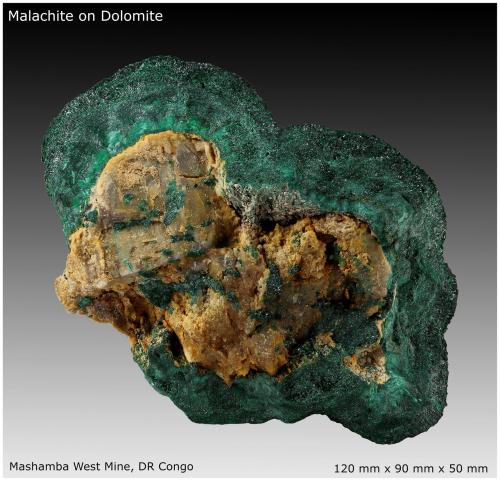 Malachite on Dolomite<br />Mashamba West Mine, Kolwezi District, Lualaba, Katanga Copper Crescent, Katanga (Shaba), Democratic Republic of the Congo (Zaire)<br />120 mm x 90 mm x 50 mm<br /> (Author: silvia)