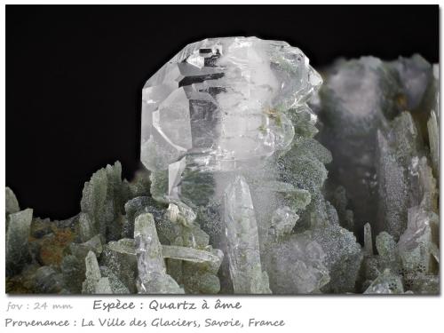 Quartz (variety faden)<br />Ville des Glaciers, Saboya, Auvergne-Rhône-Alpes, Francia<br />fov 24 mm<br /> (Author: ploum)