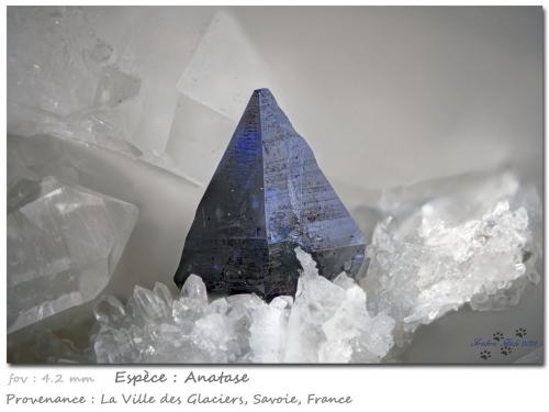 Anatase on Quartz<br />Ville des Glaciers, Saboya, Auvergne-Rhône-Alpes, Francia<br />fov 4.2 mm<br /> (Author: ploum)