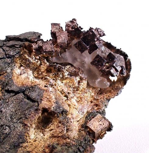 Silver, Calcite<br />Bouismas Mine, Agdz, Bou Azzer mining district, Zagora Province, Drâa-Tafilalet Region, Morocco<br />50 mm x 32 mm x 15 mm<br /> (Author: Don Lum)