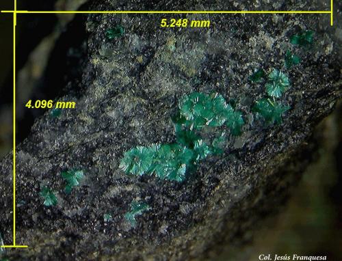 Brochantita.<br />Mina Feliz Encuentro, Sierra Almagrera, Cuevas del Almanzora, Comarca Levante Almeriense, Almería, Andalucía, España<br />5´24 x 4´09 mm.<br /> (Autor: Jesus Franquesa Baucells)