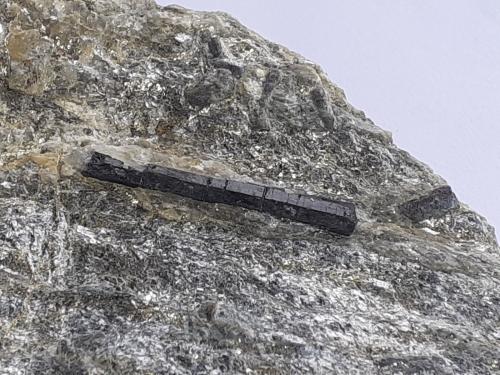 Tourmaline (variety Schorl)<br />Finstertal, Kühtai, Silz, Imst District, North Tyrol, Tyrol/Tirol, Austria<br />9 x 8 cm<br /> (Author: Volkmar Stingl)