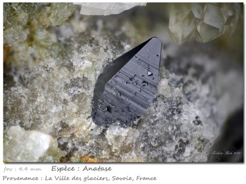 Anatase<br />Ville des Glaciers, Saboya, Auvergne-Rhône-Alpes, Francia<br />fov 4.4 mm<br /> (Author: ploum)