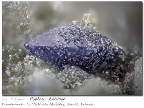 Anatase<br />Ville des Glaciers, Saboya, Auvergne-Rhône-Alpes, Francia<br />fov 2.2 mm<br /> (Author: ploum)