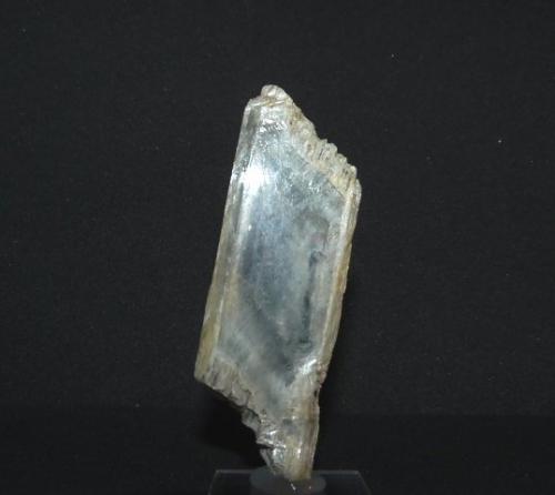 Yeso<br />Arroyo de la Patria, Vejer de la Frontera, Comarca La Janda, Cádiz, Andalucía, España<br />2,5 x 1 x 7 cm.<br /> (Autor: Felipe Abolafia)