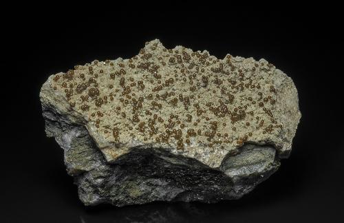 Rhodochrosite, Fluorapatite, Pyrite<br />Mina Foote Lithium Co. (Mina Foote), Distrito Kings Mountain, Condado Cleveland, North Carolina, USA<br />7.8 x 4.0 cm<br /> (Author: am mizunaka)