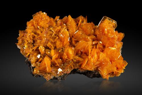 Wulfenite and Mimetite<br />San Francisco Mine, Cerro Prieto, Cucurpe, Municipio Cucurpe, Sonora, Mexico<br />19 x 12 x 10 cm / main crystal: 4.3 cm<br /> (Author: MIM Museum)