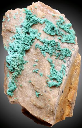 Cobre pseudomalaquita<br />El Pinar de Bédar, El Pinar, Bédar, Comarca Levante Almeriense, Almería, Andalucía, España<br />38 x 21 x 15 mm.<br /> (Autor: José Luis Zamora)