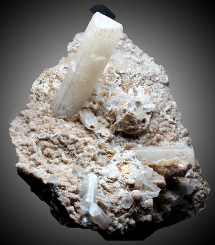 Celestina<br />Yacimiento Barranco del Mulo, Barranco del Mulo, Ulea, Comarca Valle de Ricote, Región de Murcia (Murcia), España<br />73 x 60 x 36 mm<br /> (Autor: José Luis Zamora)