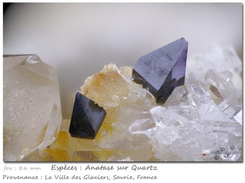 Anatase on Quartz<br />Ville des Glaciers, Saboya, Auvergne-Rhône-Alpes, Francia<br />fov 8.6 mm<br /> (Author: ploum)