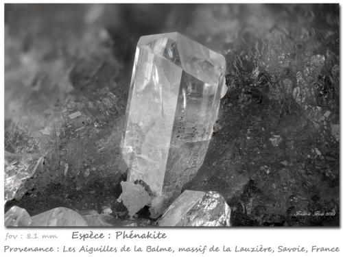 Phenakite<br />Roche Noire, La Lauzière Massif, Saint-Jean-de-Maurienne, Savoie, Auvergne-Rhône-Alpes, France<br />fov 8.1 mm<br /> (Author: ploum)