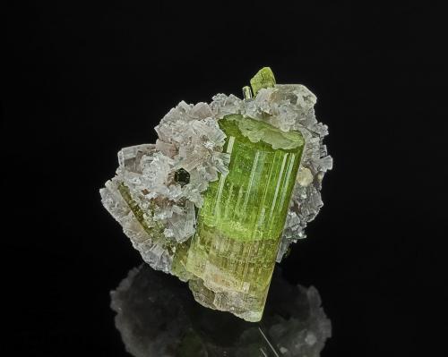 Tourmaline (Group), 'lepidolite'<br />Pegmatita Arqueana, Valle Piauí, Taquaral, Itinga, Jequitinhonha, Minas Gerais, Brasil<br />4.1 x 4.0 cm<br /> (Author: am mizunaka)