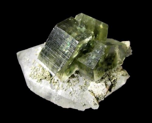 Fluorapatite, Quartz, Pyrite<br />Minas da Panasqueira, Aldeia de São Francisco de Assis, Covilhã, Castelo Branco, Cova da Beira, Centro, Portugal<br />Specimen size 4 x 3 cm, largest apatite 17 mm<br /> (Author: Tobi)