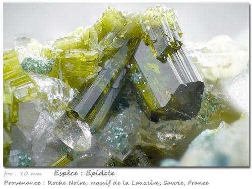 Epidote<br />Roche Noire, Macizo La Lauzière, Saint-Jean-de-Maurienne, Saboya, Auvergne-Rhône-Alpes, Francia<br />fov 7.0 mm<br /> (Author: ploum)