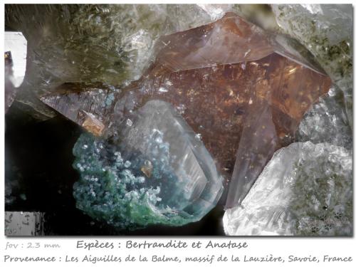 Bertrandite and Anatase<br />Les Aiguilles de la Balme, Macizo La Lauzière, Saint-Jean-de-Maurienne, Saboya, Auvergne-Rhône-Alpes, Francia<br />fov 2.3 mm<br /> (Author: ploum)