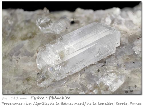 Phenakite<br />Les Aiguilles de la Balme, Macizo La Lauzière, Saint-Jean-de-Maurienne, Saboya, Auvergne-Rhône-Alpes, Francia<br />Fov 19.2 mm<br /> (Author: ploum)