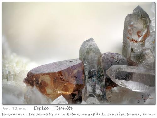 Titanite and Quartz<br />Les Aiguilles de la Balme, La Lauzière Massif, Saint-Jean-de-Maurienne, Savoie, Auvergne-Rhône-Alpes, France<br />fov 7.2 mm<br /> (Author: ploum)