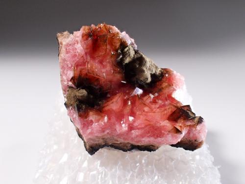 Rhodochrosite<br />Mina N'chwaning I, Zona minera N'Chwaning, Kuruman, Kalahari manganese field (KMF), Provincia Septentrional del Cabo, Sudáfrica<br />31 mm x 20 mm<br /> (Author: Don Lum)