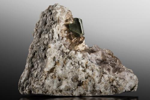 Bertrandita [Bertrandite] con inclusiones de Clorita [Chlorite] y con Cuarzo [Quartz] (variedad cuarzo ahumado)<br />Zona del túnel de base Furka, Realp, Urseren, Uri, Suiza<br />8 x 3 x 6 cm / cristal principal: 1.7 cm<br /> (Autor: Museo MIM)