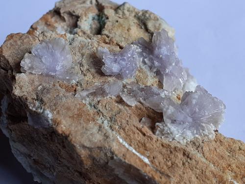 Creedite<br />Qinglong Mine, Dachang, Qinglong, Qianxi'nan Autonomous Prefecture, Guizhou Province, China<br />6,5 x 4,5 cm<br /> (Author: Volkmar Stingl)