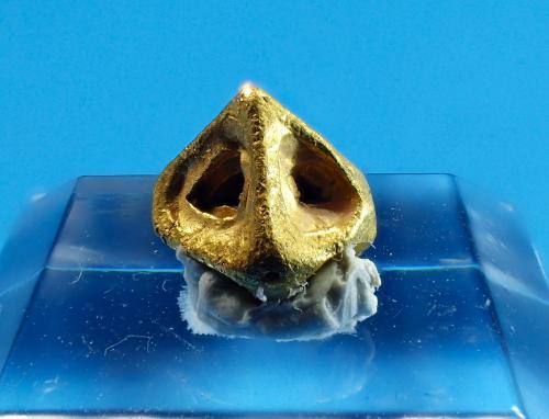 Gold<br />Oruro City, Cercado Province, Oruro Department, Bolivia<br />7 mm x 7 mm<br /> (Author: Don Lum)